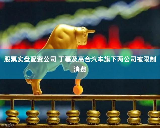 股票实盘配资公司 丁磊及高合汽车旗下两公司被限制消费