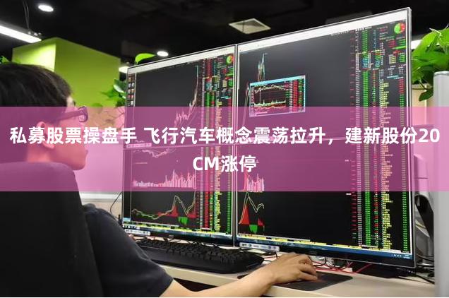 私募股票操盘手 飞行汽车概念震荡拉升，建新股份20CM涨停