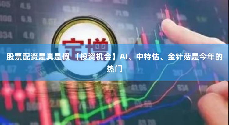 股票配资是真是假 【投资机会】AI、中特估、金针菇是今年的热门